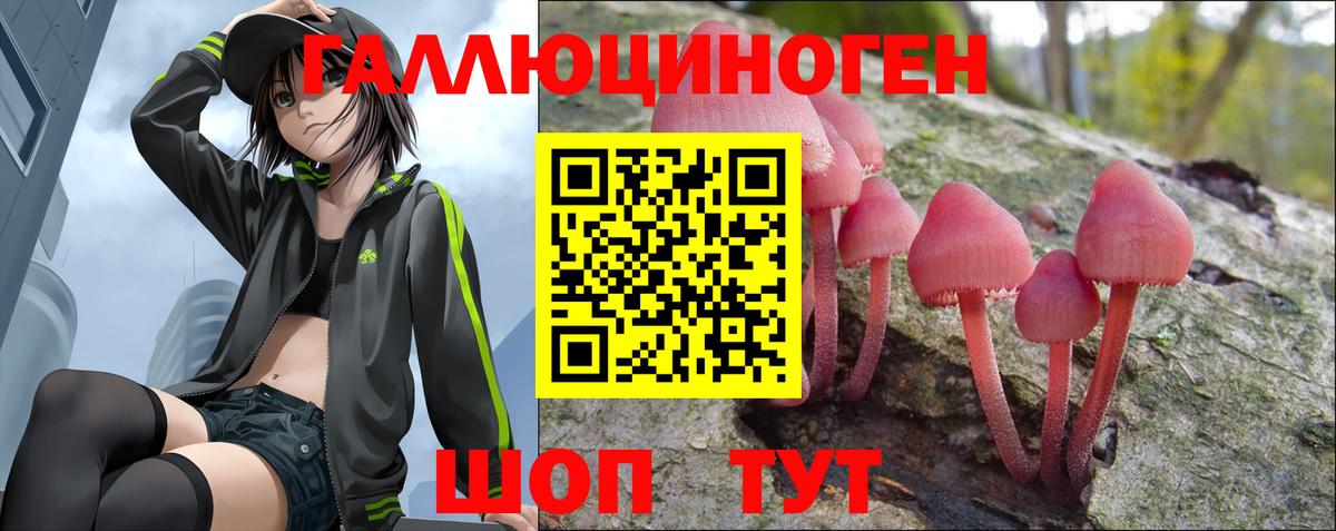 Псилоцибиновые грибы мицелий  Псилоцибиновые грибы прущие грибы  Вход с VPN  Тихвин 